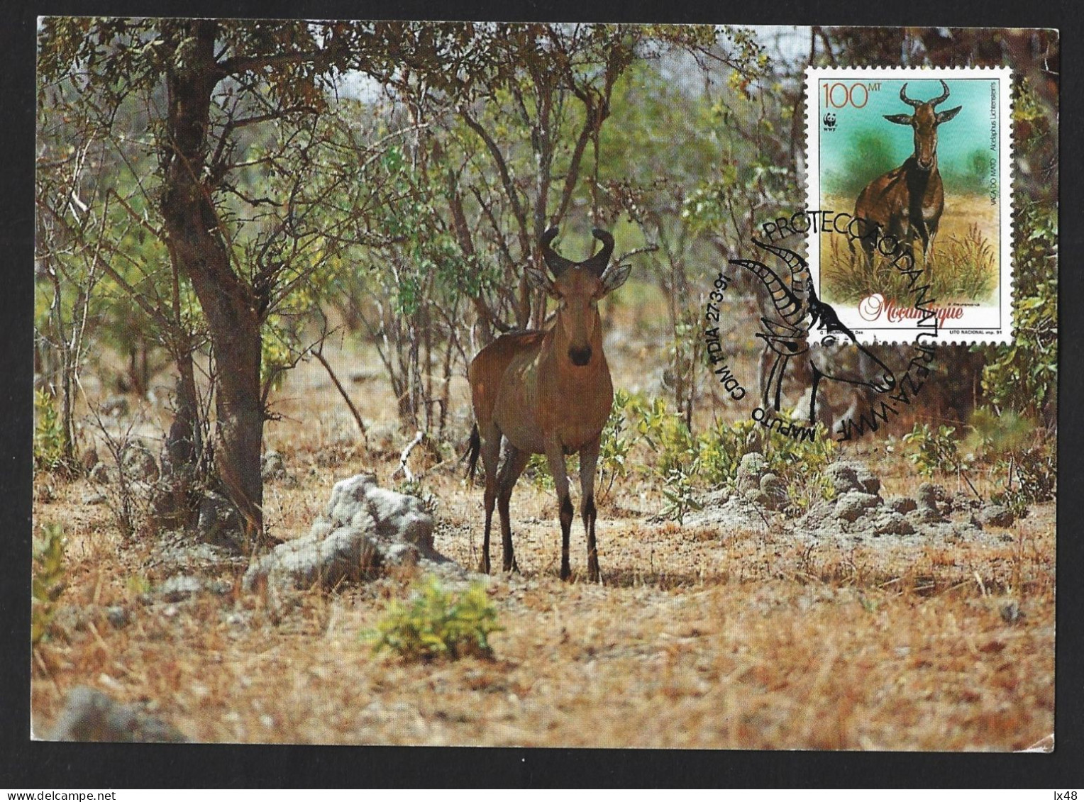 Protection Of Nature And The Environment. Gazelle. Wild Cow. Moose. Alcelaphus Lichtensteins. Gazelle. Wilde Kuh. Elch. - Protezione Dell'Ambiente & Clima