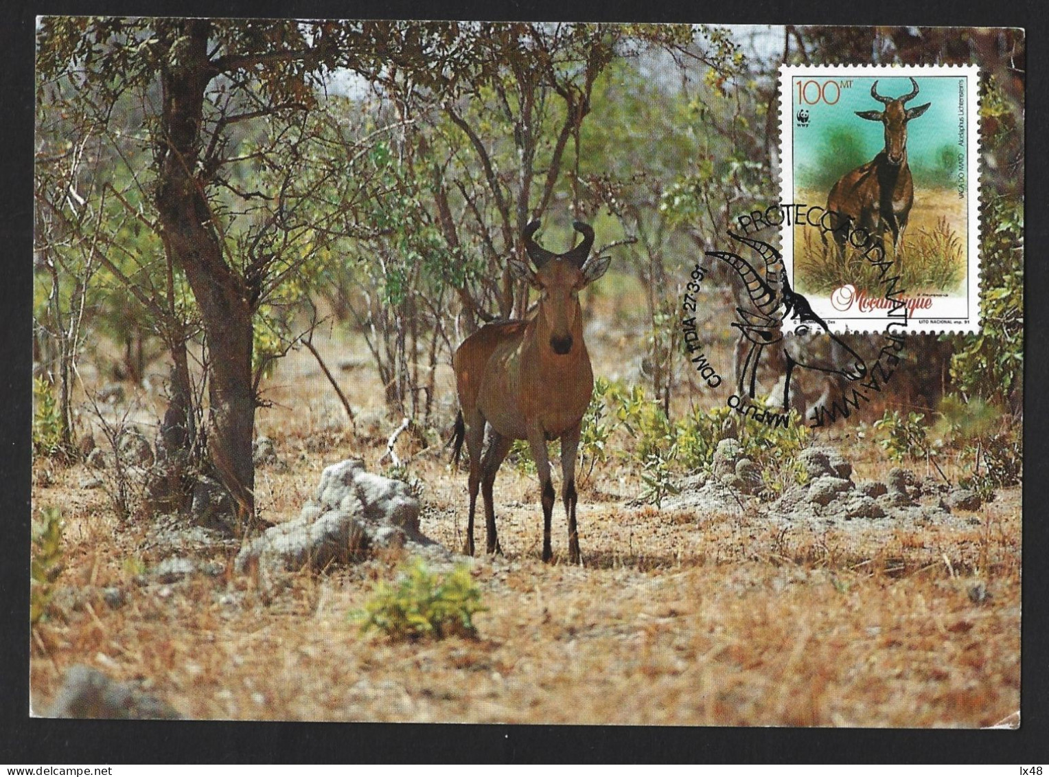 Protection Of Nature And The Environment. Gazelle. Wild Cow. Moose. Alcelaphus Lichtensteins. Gazelle. Wilde Kuh. Elch. - Protección Del Medio Ambiente Y Del Clima