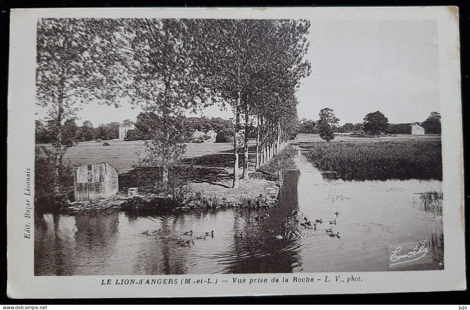 49 - LE LION D'ANGERS (M.et L.) - Vue Prise De La Roche - Otros & Sin Clasificación