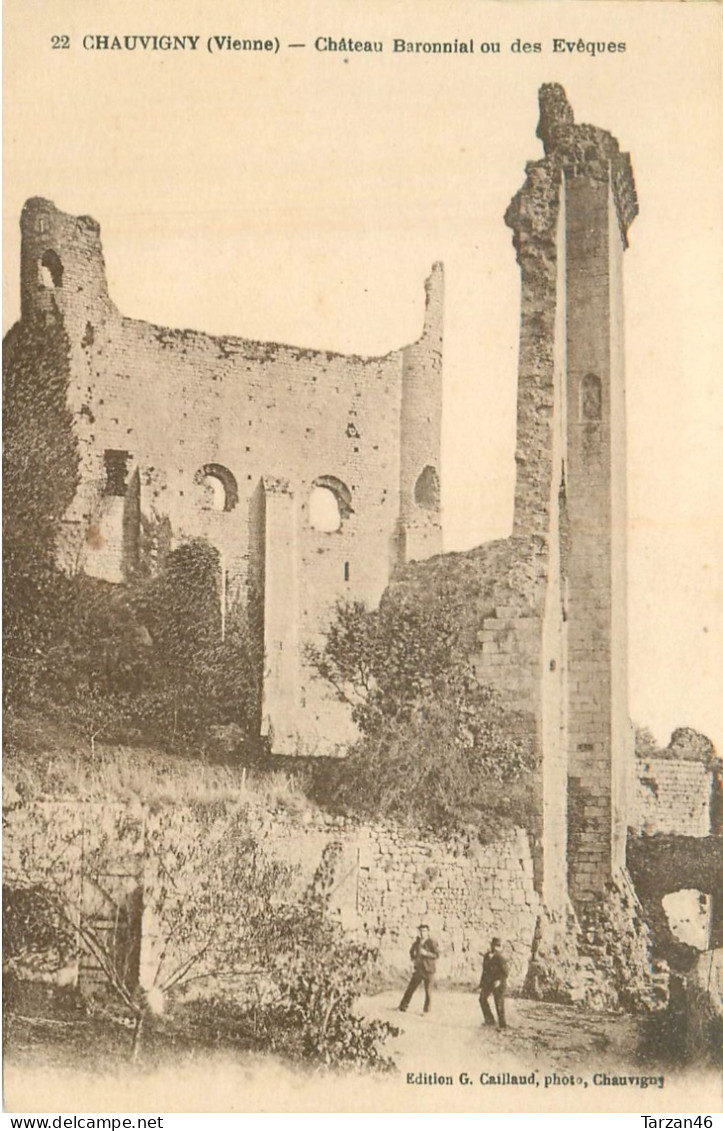 27.04.2024 - C -  22. CHAUVIGNY Château Baronnial Ou Des évêques - Chauvigny