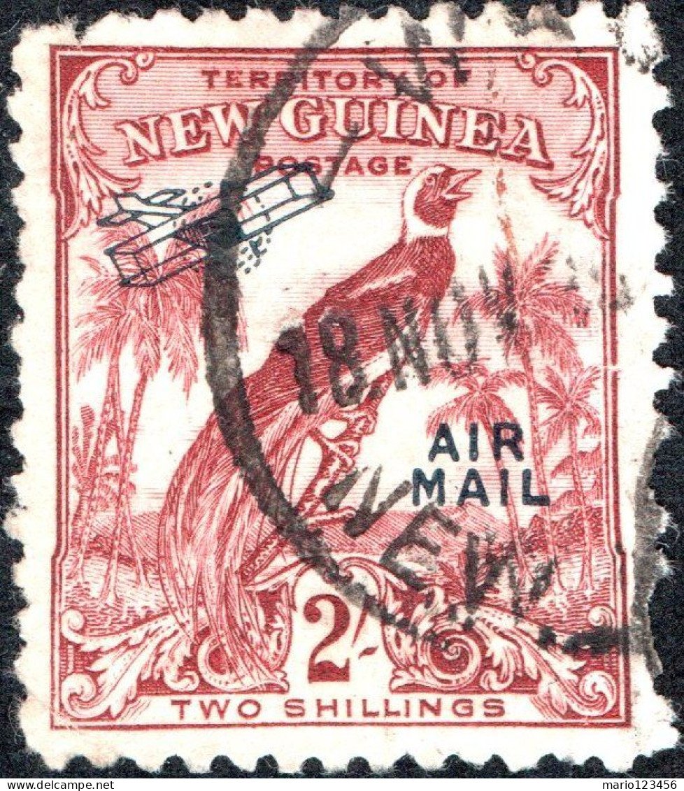 NUOVA GUINEA, NEW GUINEA, FAUNA, UCCELLI, BIRDS, 1932, USATI Scott:PG-NG C40 Yt:PG-NG PA40 - Papua-Neuguinea