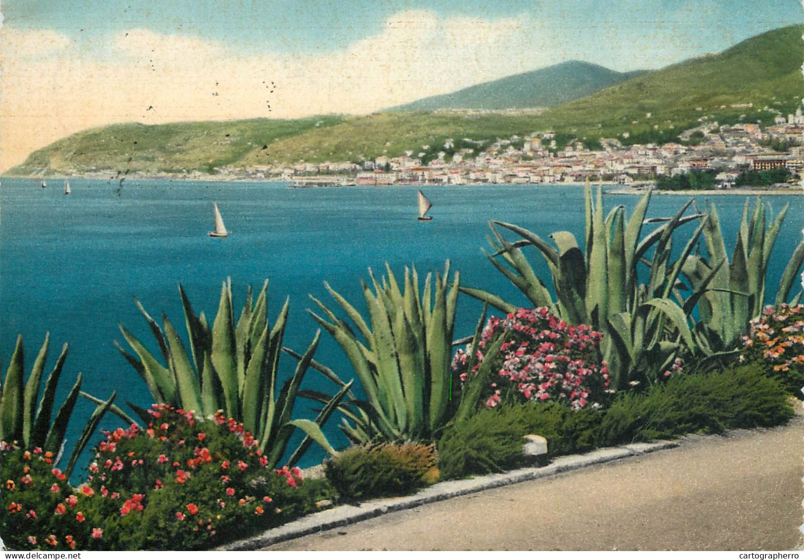 Navigation Sailing Vessels & Boats Themed Postcard Riviera Dei Fiori San Remo - Sailing Vessels