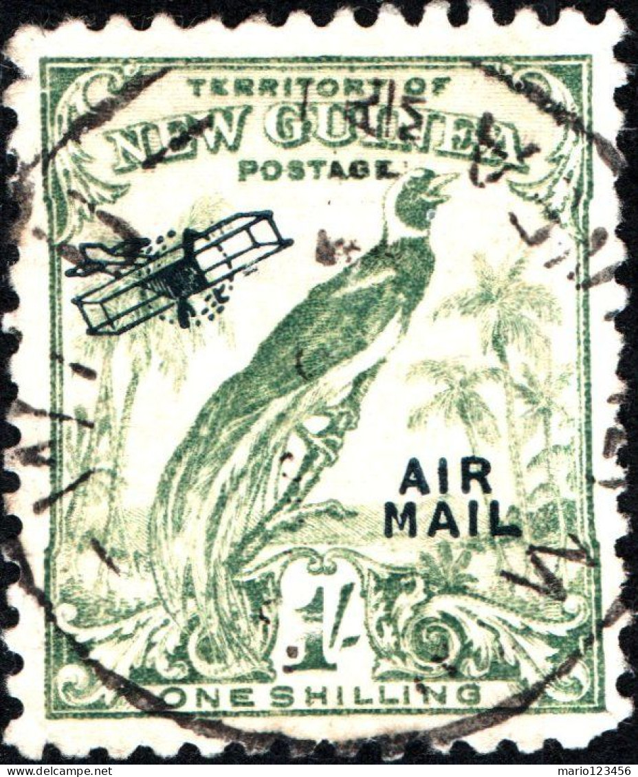 NUOVA GUINEA, NEW GUINEA, FAUNA, UCCELLI, BIRDS, 1932, USATI Scott:PG-NG C39 Yt:PG-NG PA39 - Papouasie-Nouvelle-Guinée