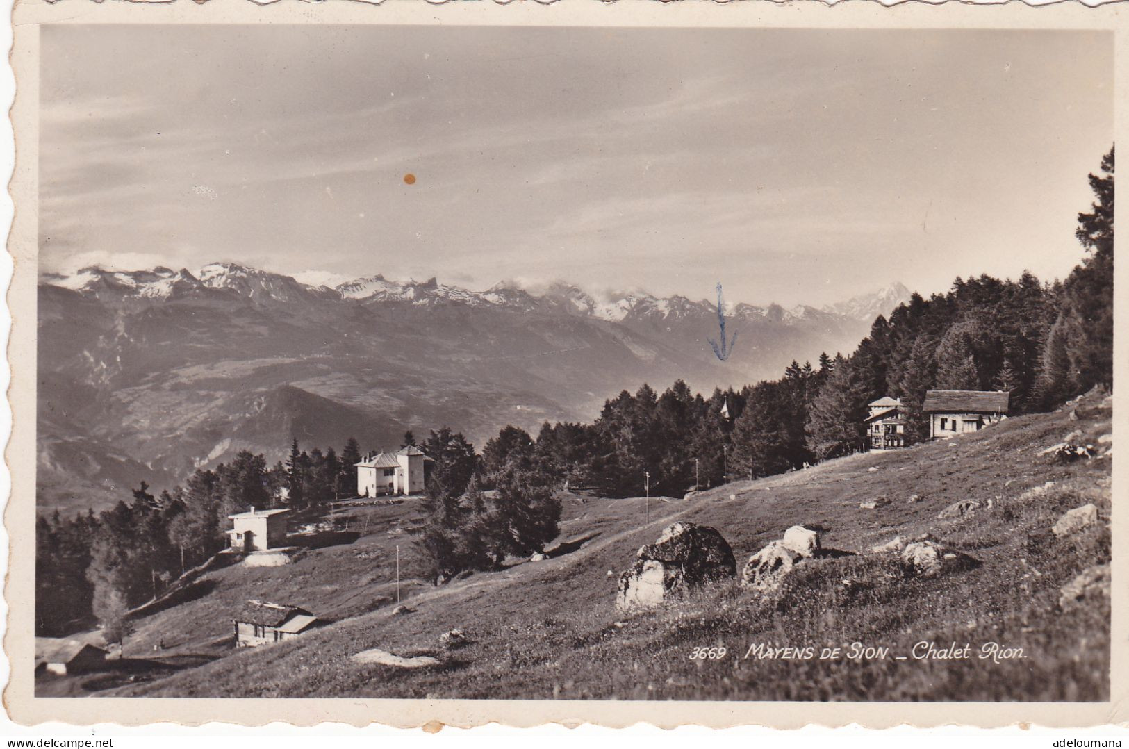 MAYENS DE SION  - CHALET  RION - Autres & Non Classés