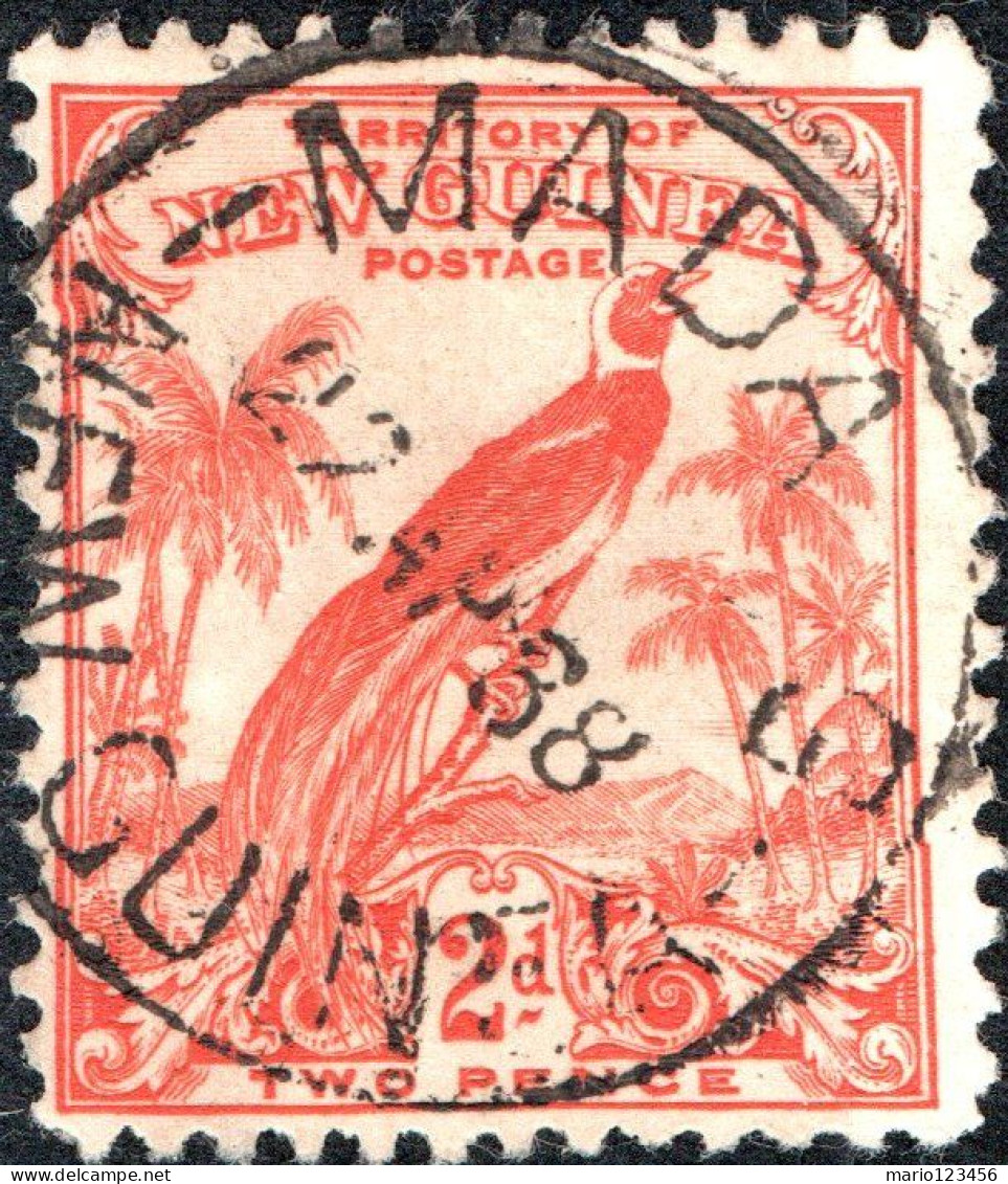 NUOVA GUINEA, NEW GUINEA, FAUNA, UCCELLI, BIRDS, 1932, USATI Scott:PG-NG 33 Yt:PG-NG 43 - Papua New Guinea
