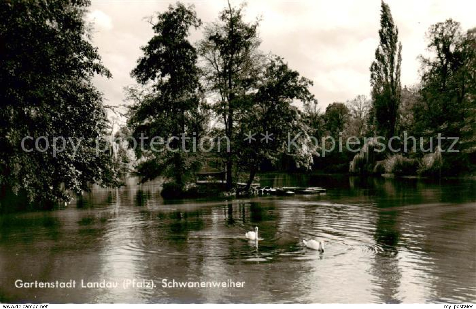 73790255 Landau  Pfalz Gartenstadt Schwanenweiher  - Landau