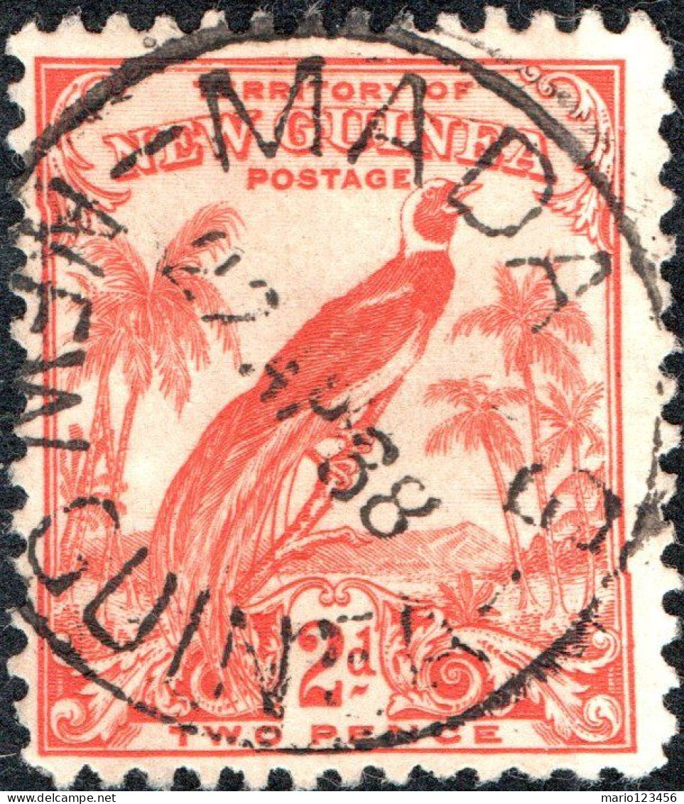 NUOVA GUINEA, NEW GUINEA, FAUNA, UCCELLI, BIRDS, 1934, USATI Scott:PG-NG C39 Yt:PG-NG PA34 - Papua New Guinea