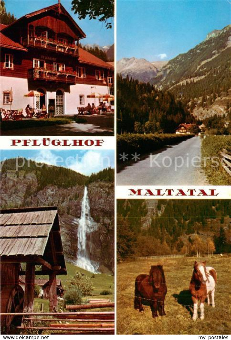 73790232 Maltatal Kaernten AT Pfluegelhof Wasserfall Ponys  - Other & Unclassified