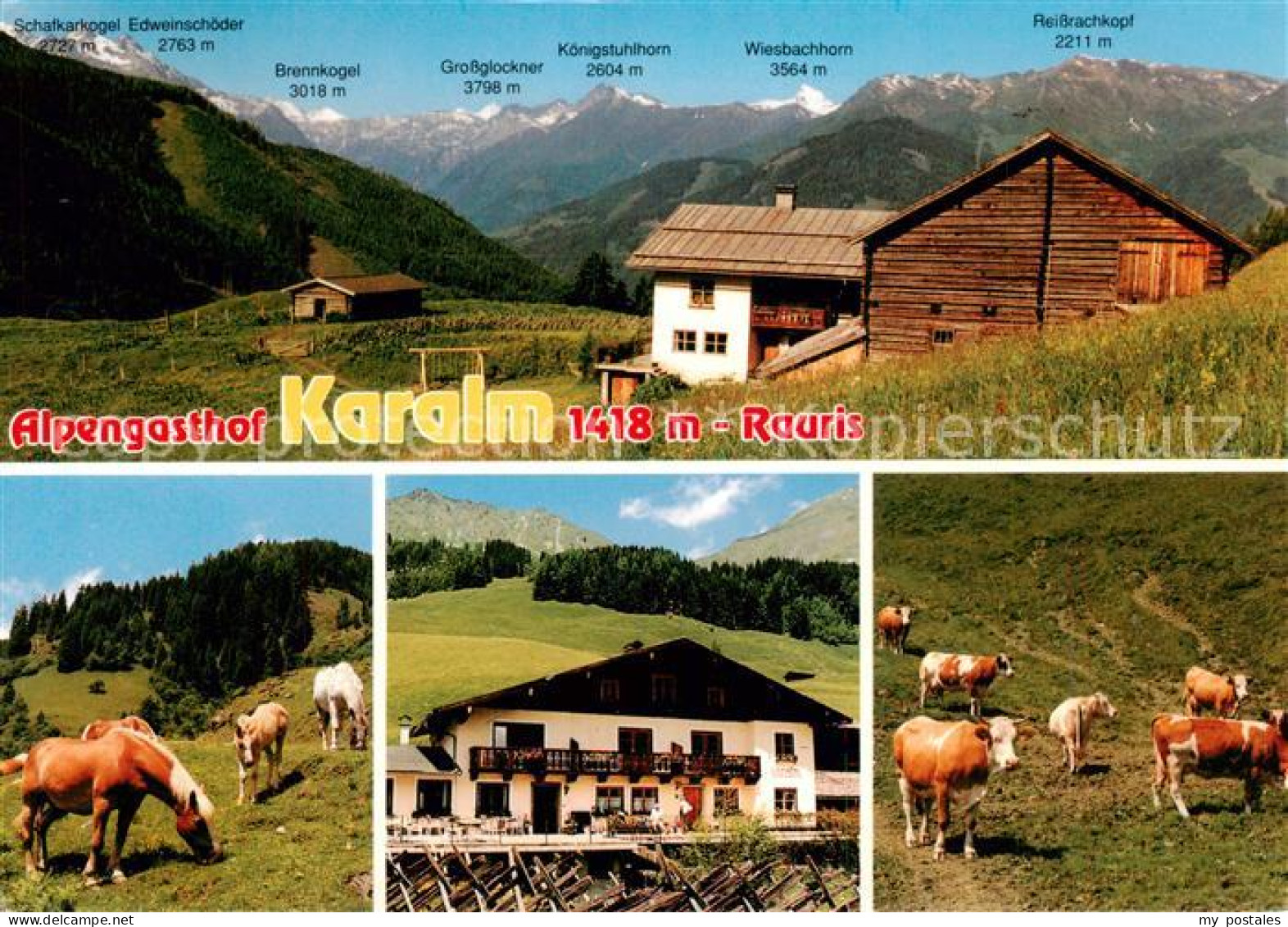 73790231 Rauris-Woerth AT Alpengasthof Karalm Almvieh Alpenpanorama  - Altri & Non Classificati
