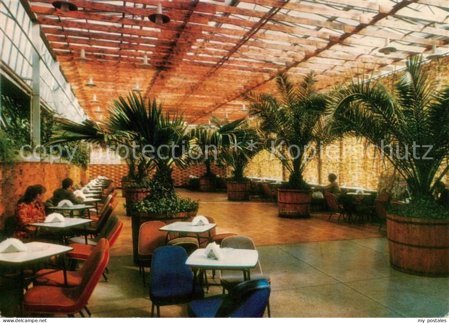 73790207 Zielona Gora Gruenberg Wnetrze Kawiarni Palmiarnia Palmhaus Cafe - Polonia