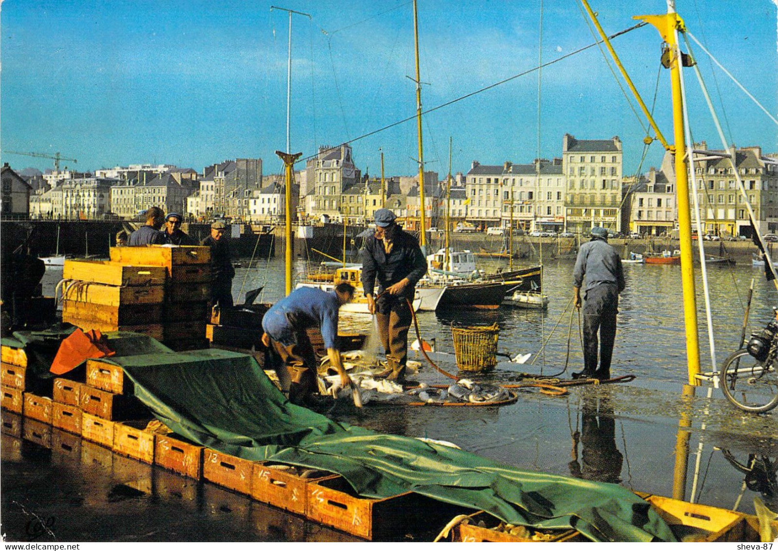 50 - Cherbourg - Déchargement Du Poisson Et Quai De Caligny - Cherbourg