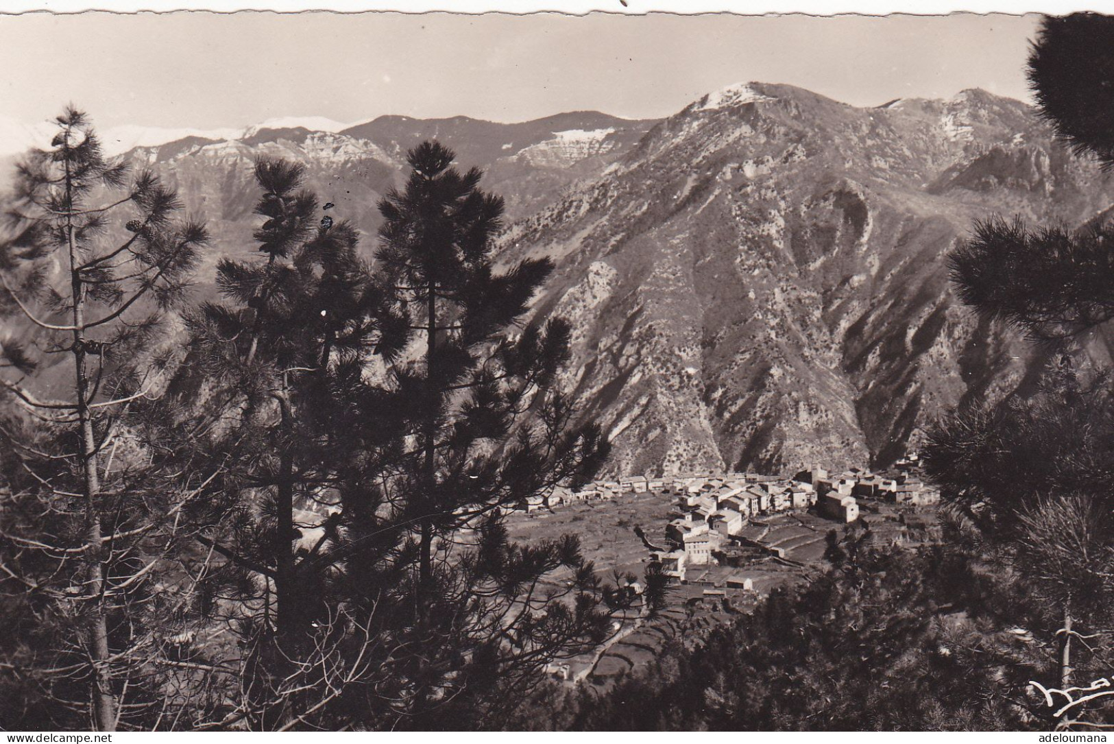 UTELLE  -  VUE DEPUIS LA ROUTE MONTANT A LA MADONE - Otros & Sin Clasificación