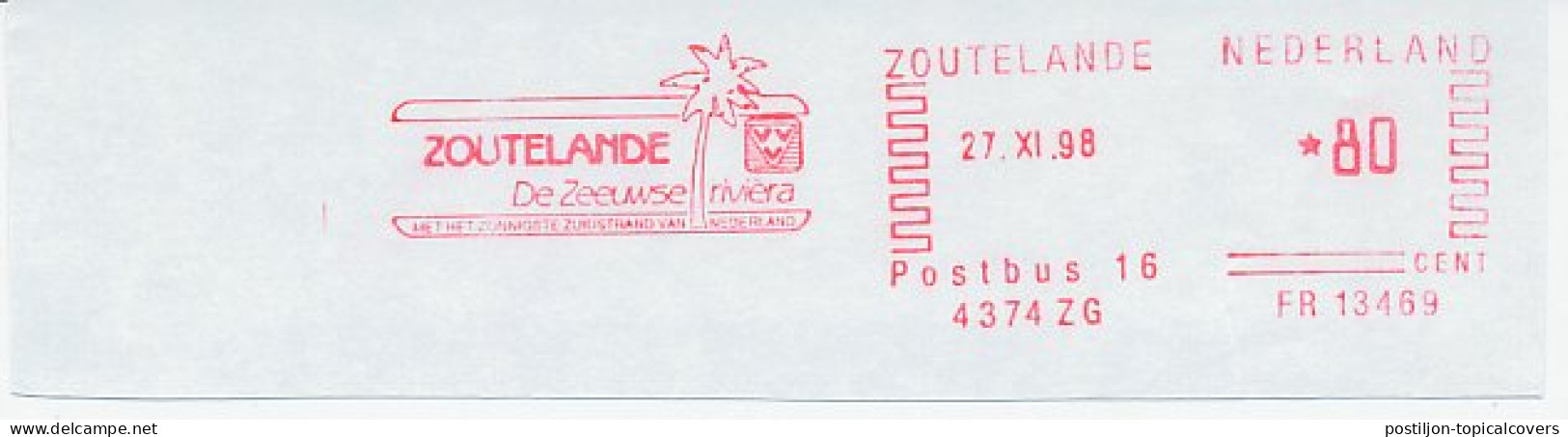 Meter Cut Netherlands 1998 Palm Tree - Bomen