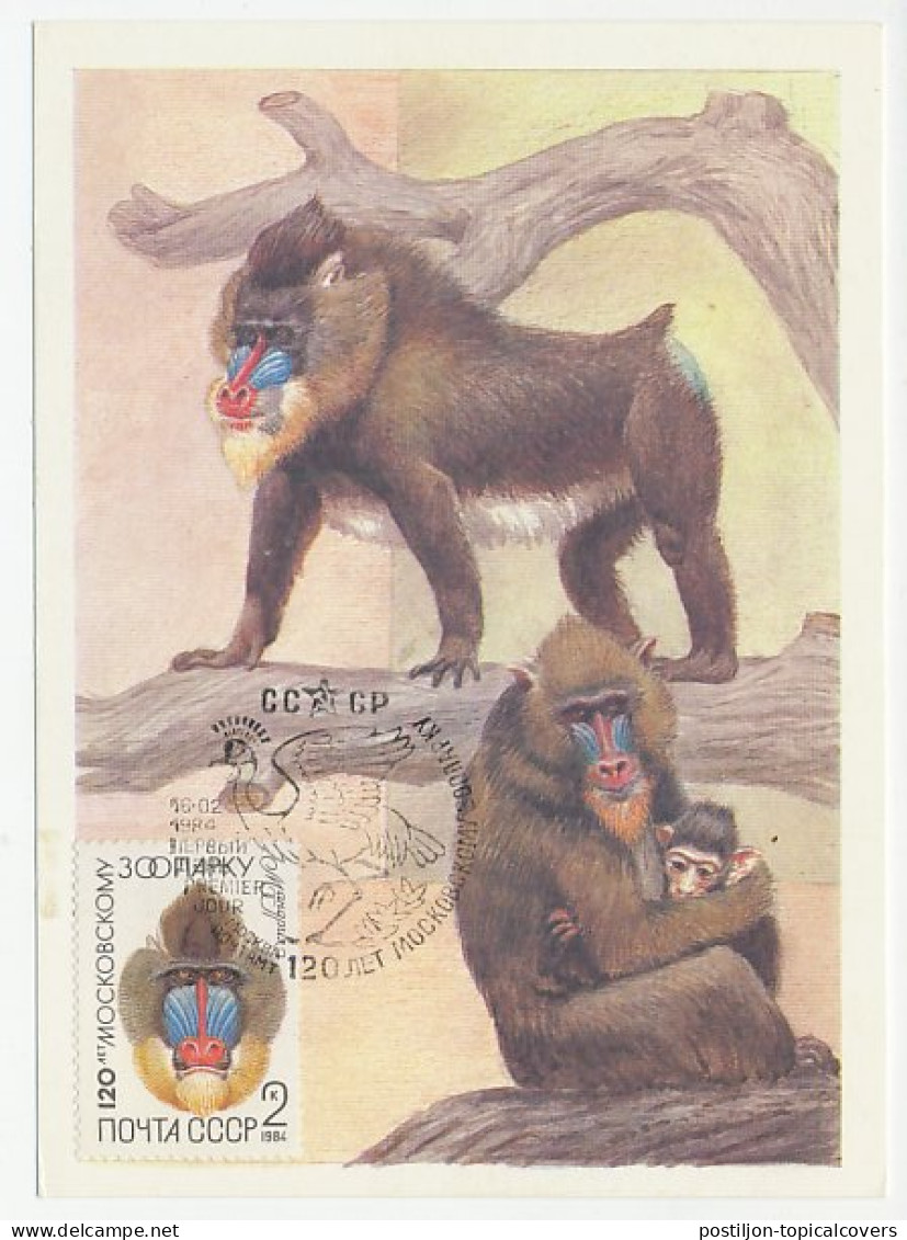 Maximum Card Soviet Union 1984 Monkey - Mandrill Baboon - Autres & Non Classés