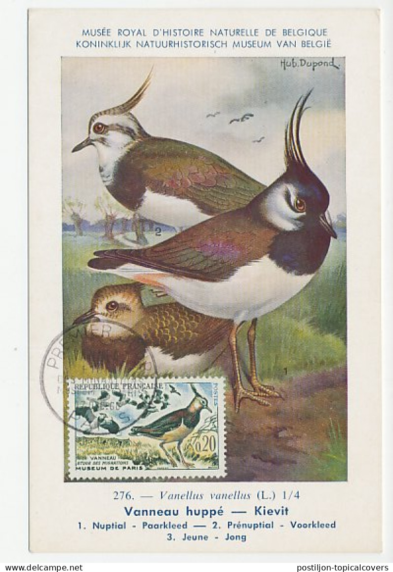 Maximum Card France 1960 Bird - Lapwing - Peewit - Other & Unclassified