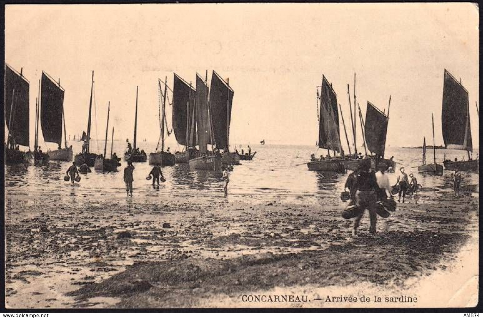 29-0020 - Carte Postale FINISTERE (29) - CONCARNEAU - Arrivée De La Sardine - Concarneau