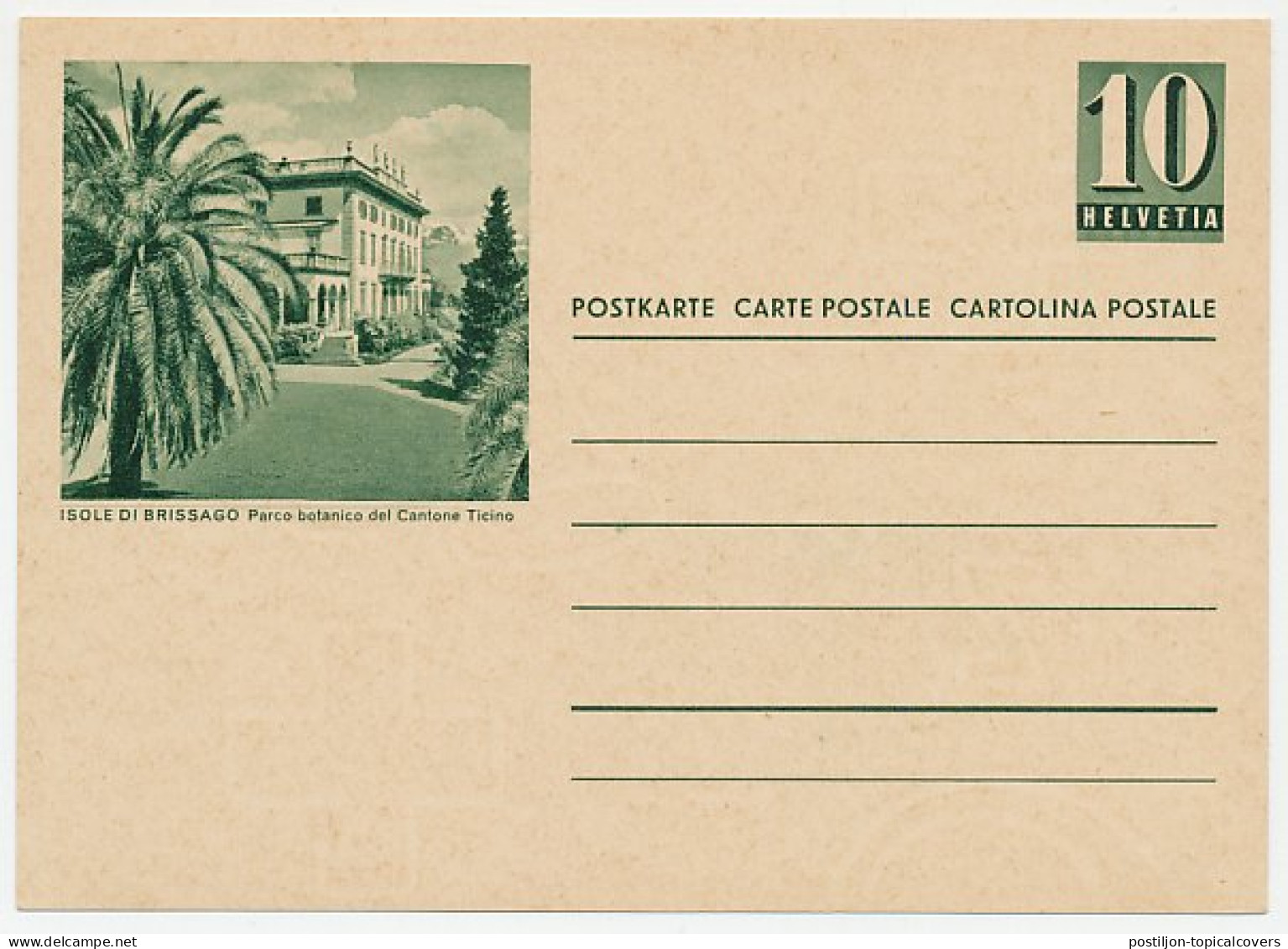 Postal Stationery Switzerland 1935 Botanical Garden - Palm Tree - Bäume