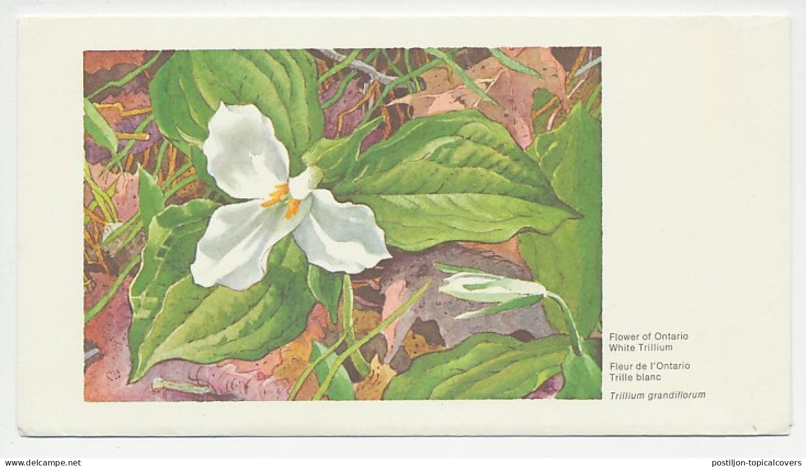 Postal Stationery Canada White Trillium - Sonstige & Ohne Zuordnung