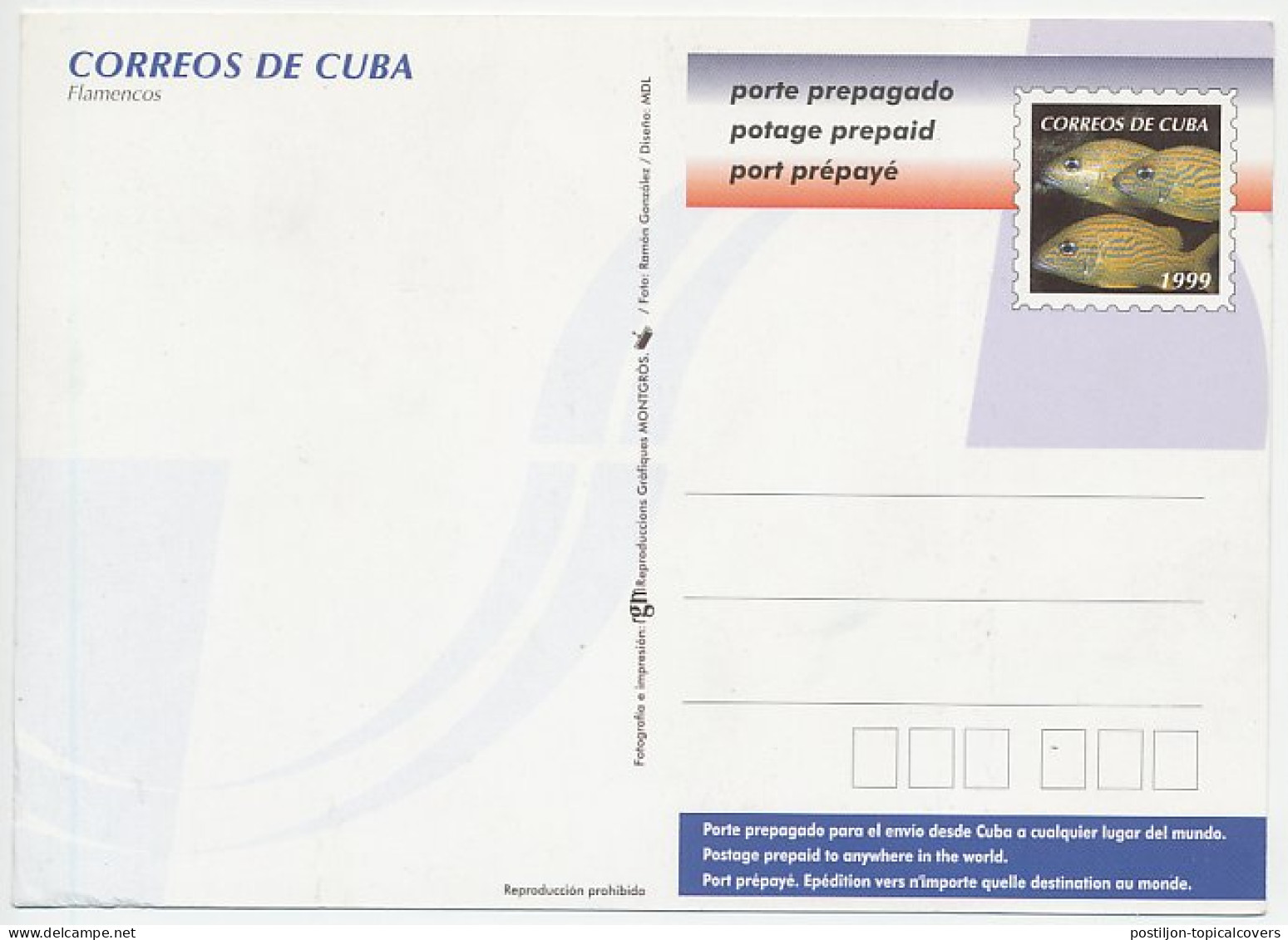 Postal Stationery Cuba 1999 Bird - Flamingo - Sonstige & Ohne Zuordnung