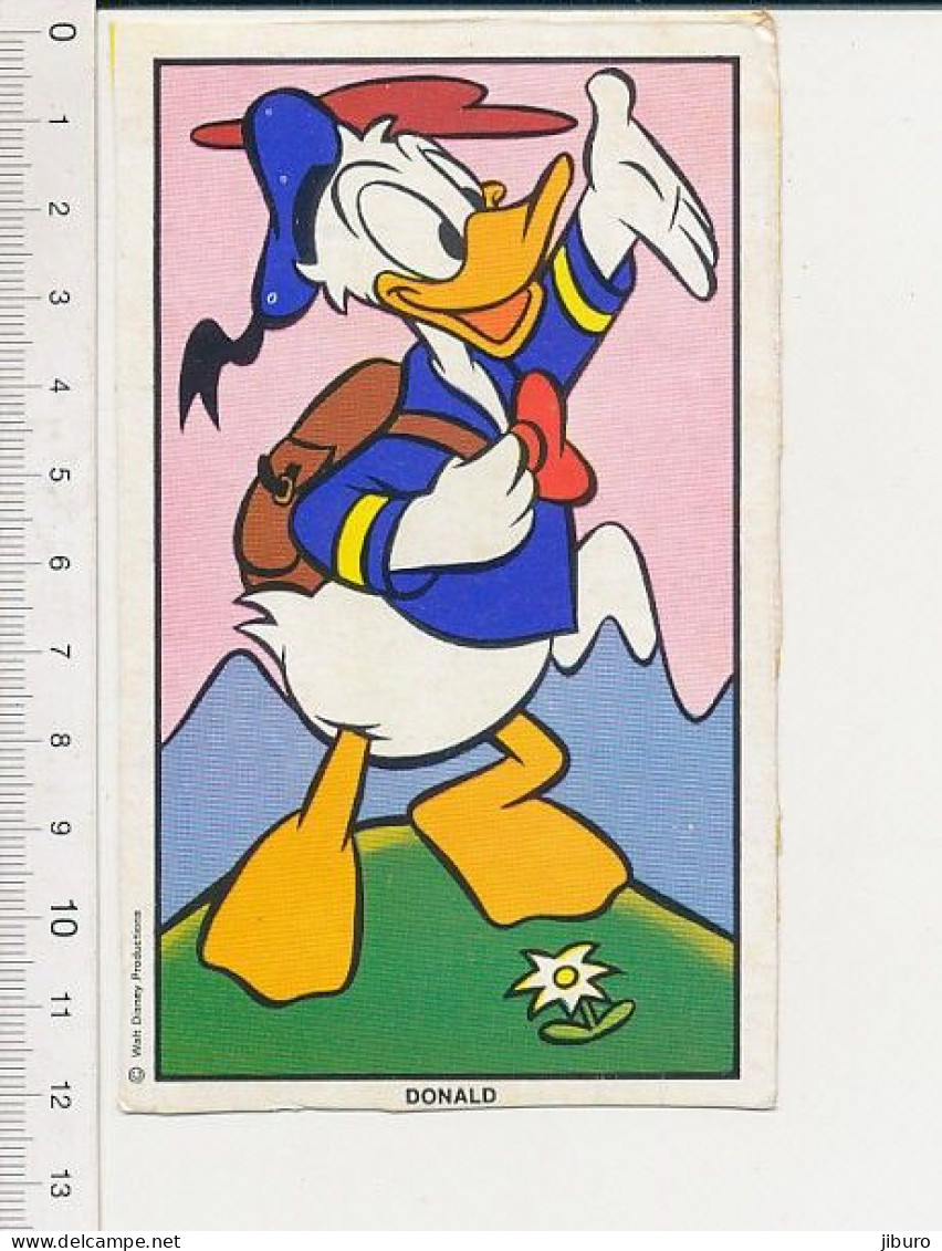 Donald à La Montagne Randonnée Fleur ?? Edelweiss ??  Walt Disney Productions BIM B1-8 - Autres & Non Classés