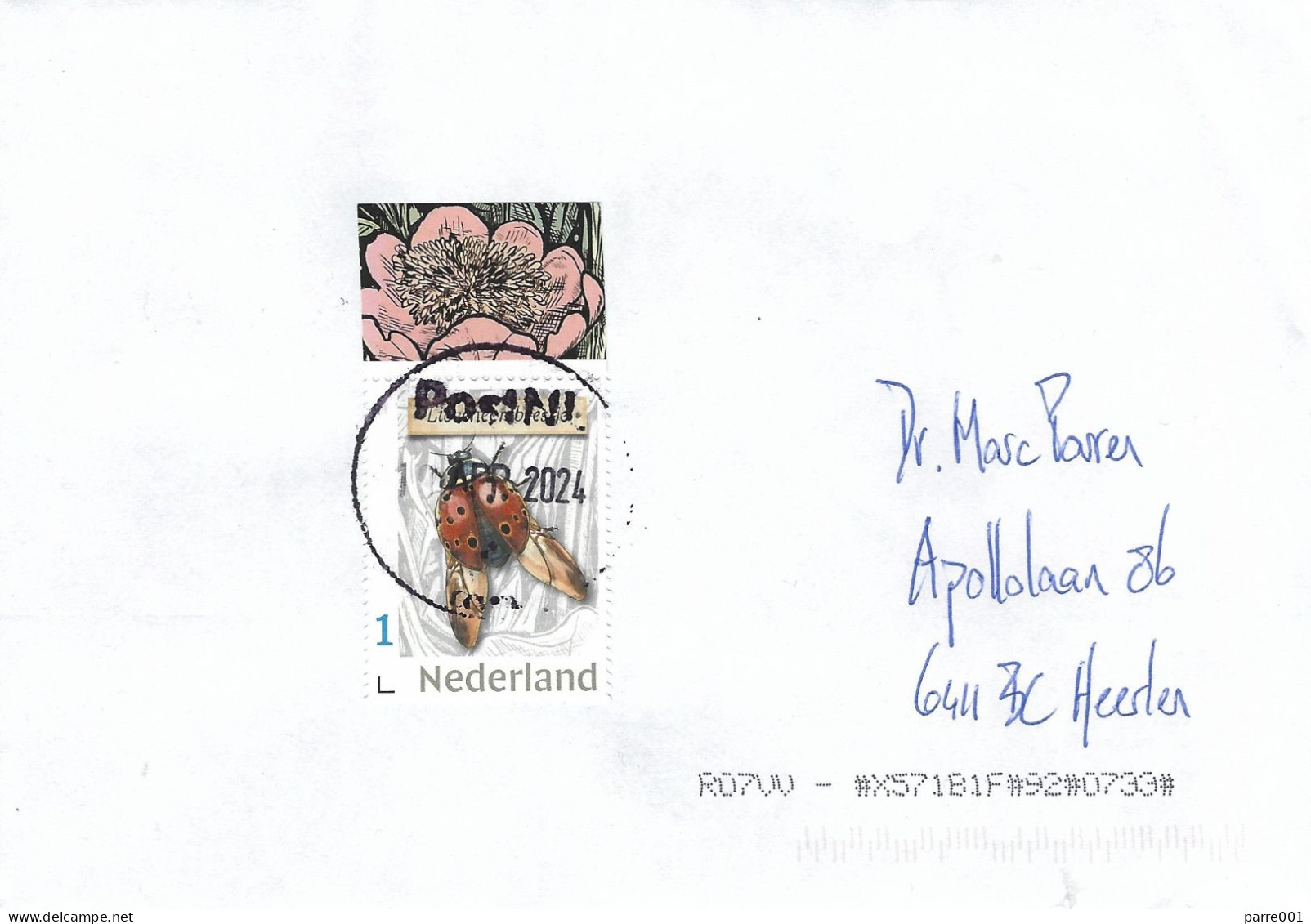 Nederland Netherlands 2024 Gouda Seven-spot Ladybird Coccinella Septempunctata Domestic Cover - Kevers