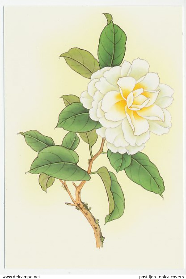 Postal Stationery China 2003 Flower - Otros & Sin Clasificación