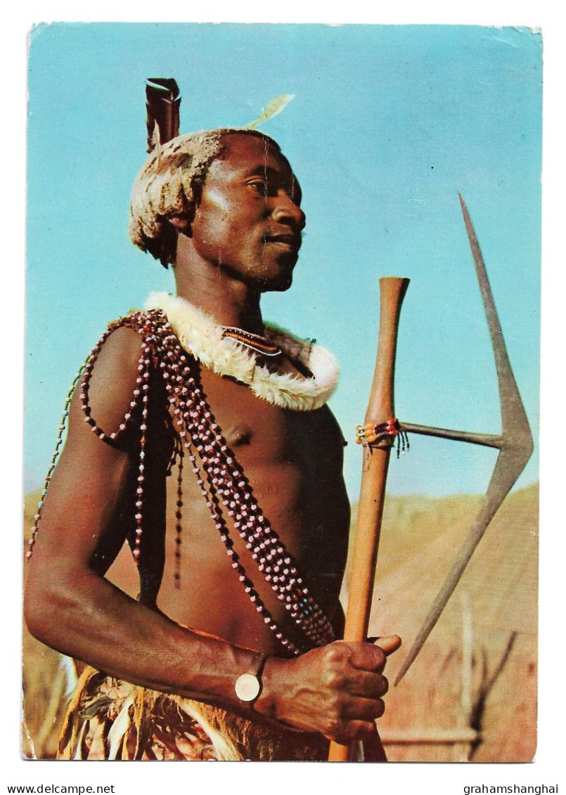 Postcard Swaziland Swazi Warrior Traditional Ethnic Costume Posted 1950s Advertising 'Cardiotonic' - Afrique