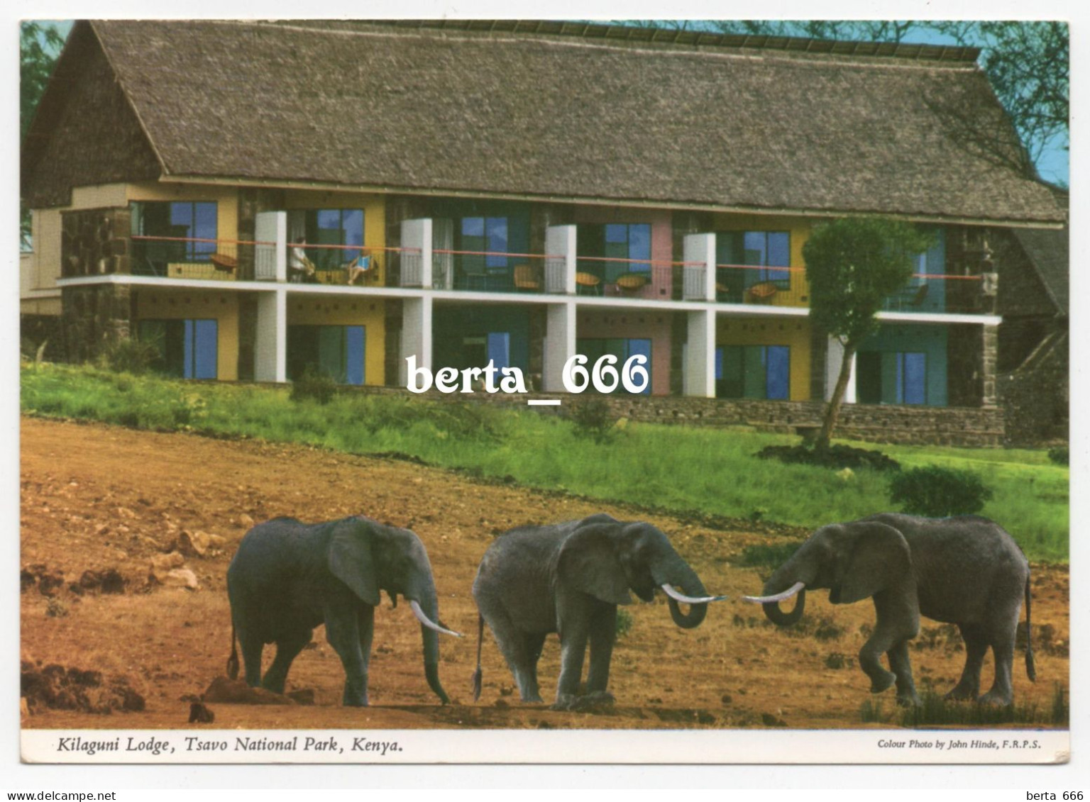 Kenya Tsavo National Park Kilaguni Lodge Elephants * John Hinde Unused Postcard - Elefantes