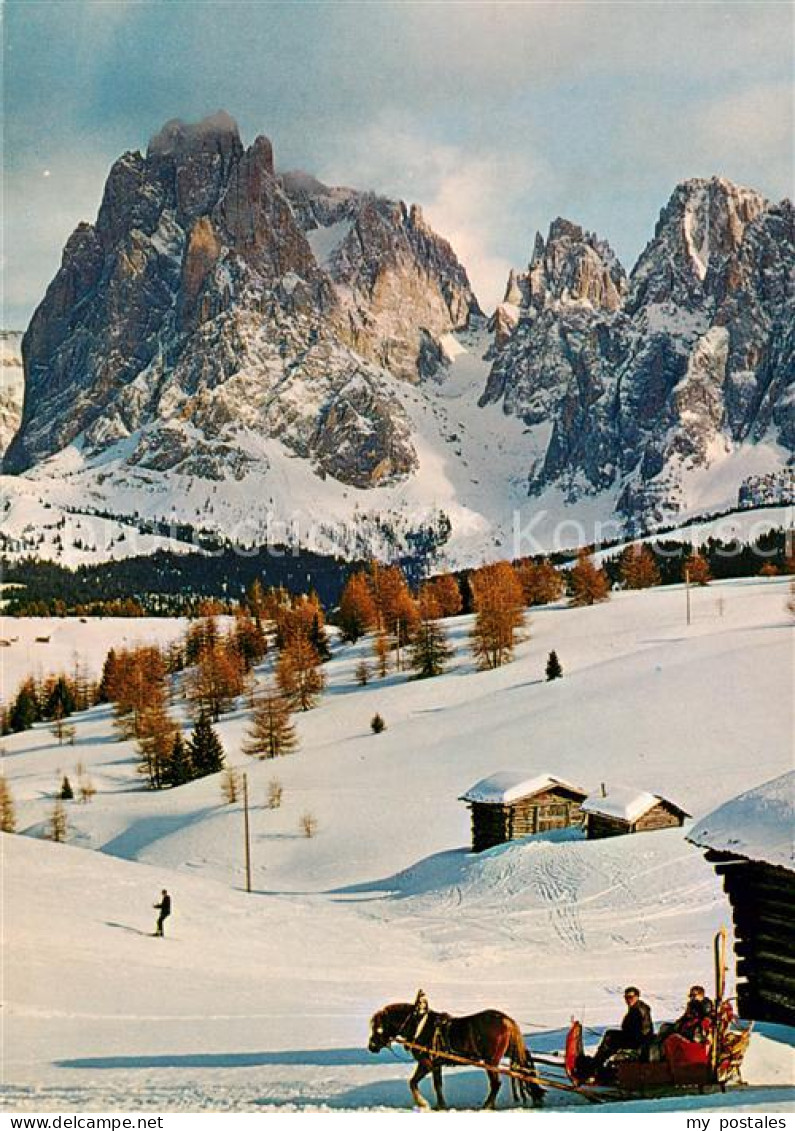 73789601 Seiseralm Alpe Di Siusi Trentino IT Mit Langkofelgruppe Pferdeschlitten - Autres & Non Classés