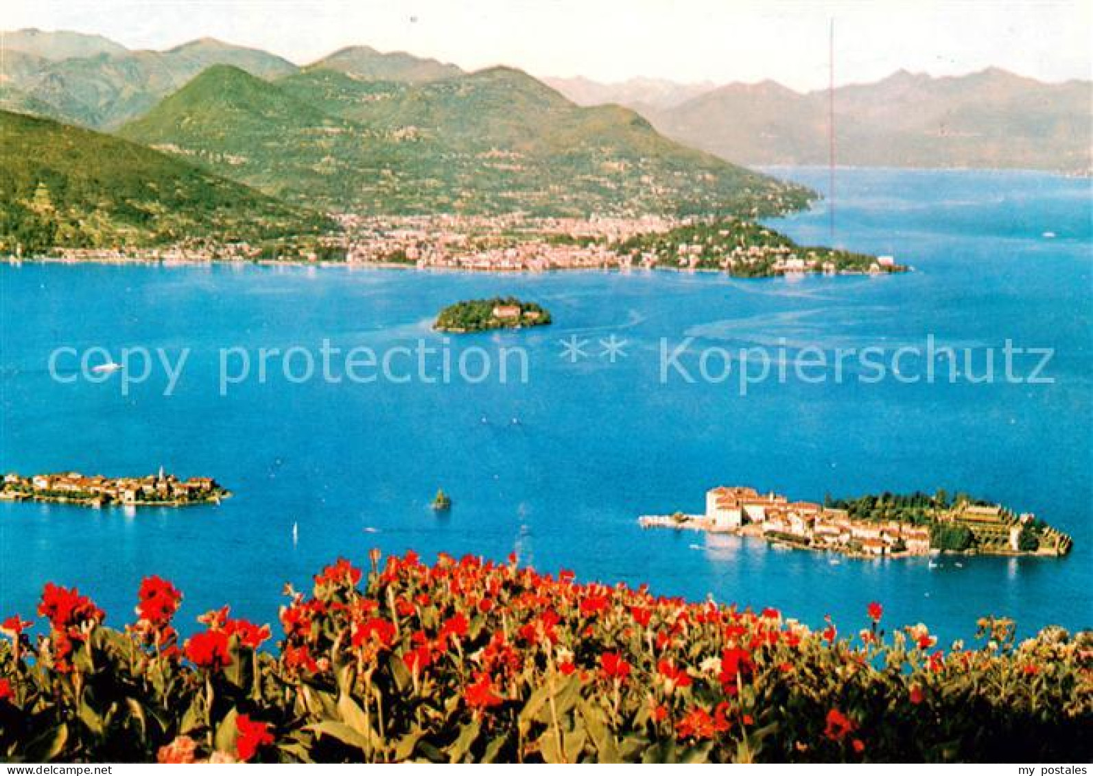 73789568 Borromeo Lago Maggiore Panorama Mit Isola Bella Isola Pescatori Und Iso - Autres & Non Classés