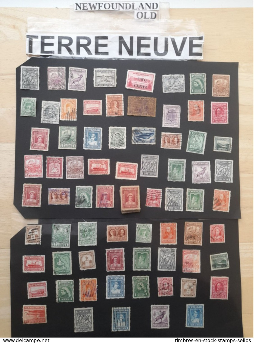 TERRE NEUVE NEWFOUNDLAND 8 Gs DECOLLES, ANCIENS , TOUS FORMATS 纽芬兰纽芬兰 8​​ Gs 独立，旧，所有尺寸 OLDER OFF PAPER - Lots & Kiloware (mixtures) - Max. 999 Stamps