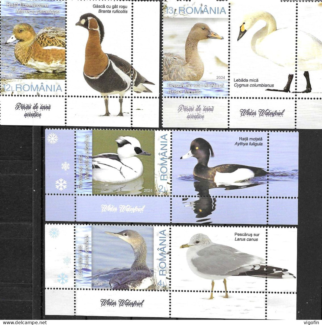 RO 2024-BIRDS, ROMANIA 4v+Lables, MNH - Neufs