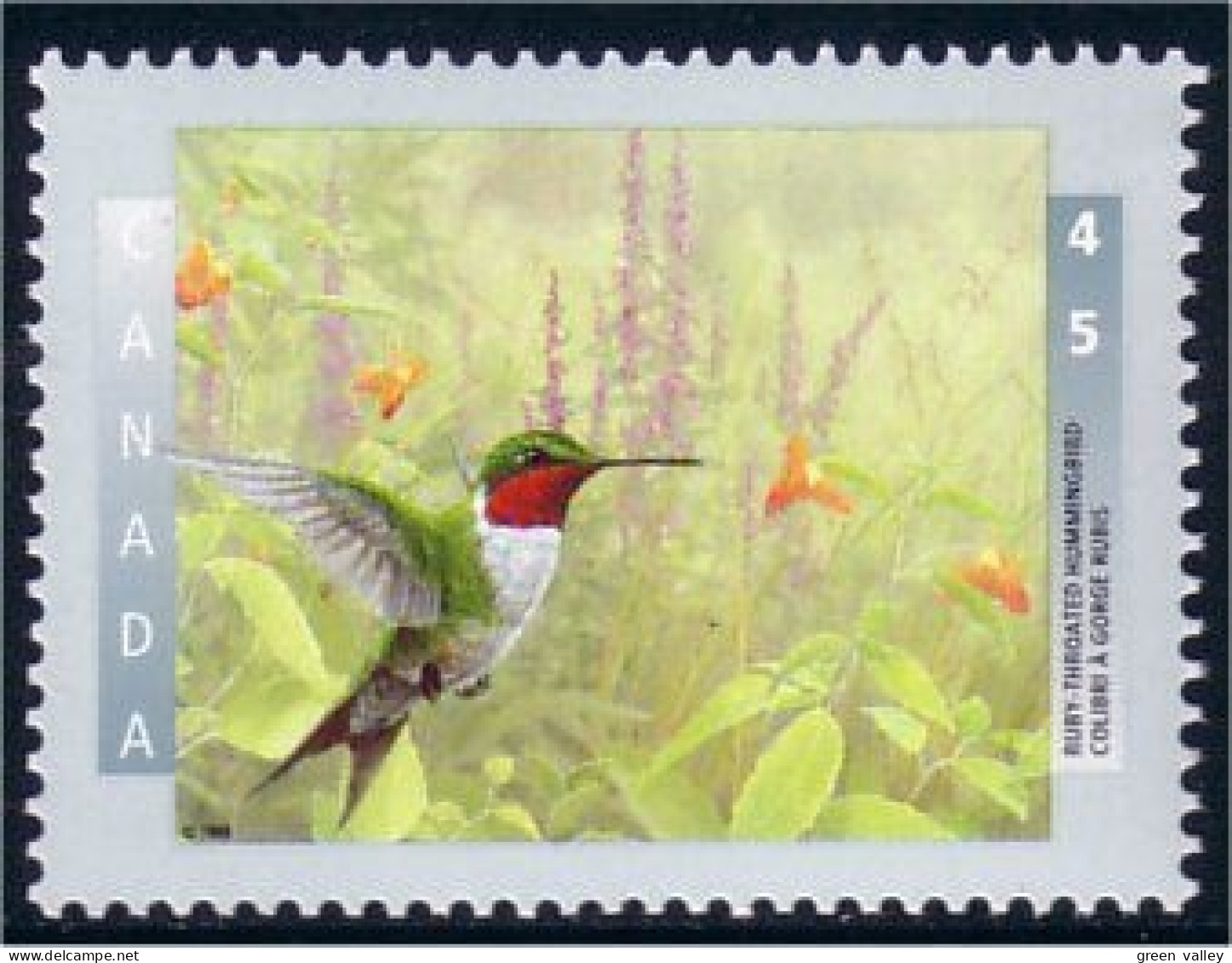 Canada Colibri Hummingbird MNH ** Neuf SC (C15-94b) - Kolibries