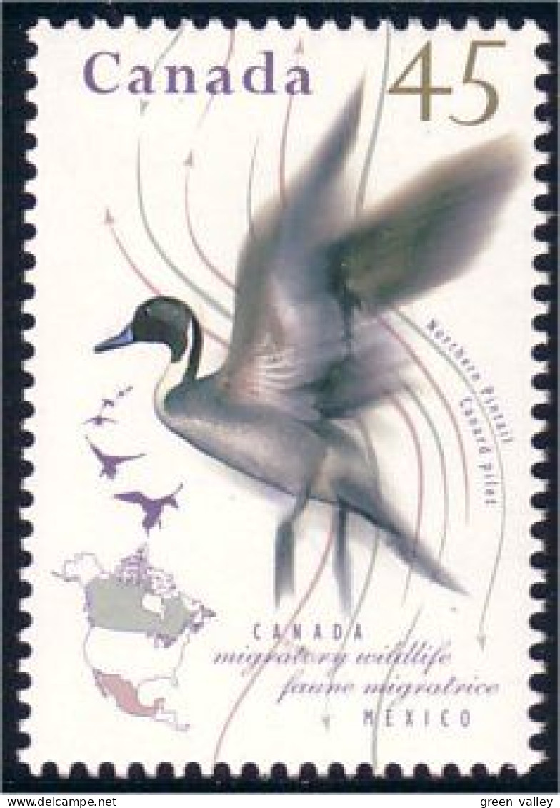 Canada Canard Pilet Northern Pintail MNH ** Neuf SC (C15-65b) - Entenvögel