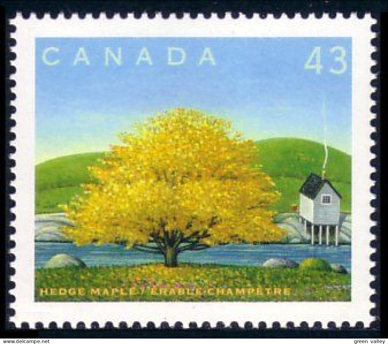 Canada Arbre Erable Champetre Hedge Maple Tree MNH ** Neuf SC (C15-24kb) - Trees