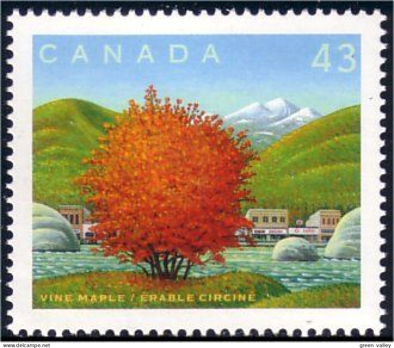 Canada Arbre Erable Circine Vine Maple Tree MNH ** Neuf SC (C15-24jb) - Trees