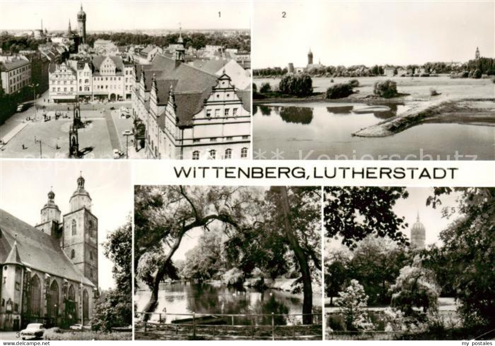 73789057 Wittenberg  Lutherstadt Marktplatz Und Schlosskirche Panorama Stadtkirc - Wittenberg