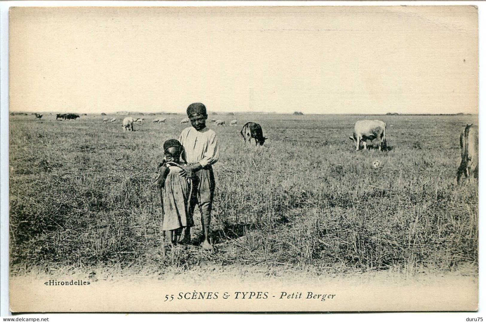 AFRIQUE CPA Non écrite * Scènes Et Types PETIT BERGER ( Vaches Enfant ) Edition Hirondelle - Non Classificati