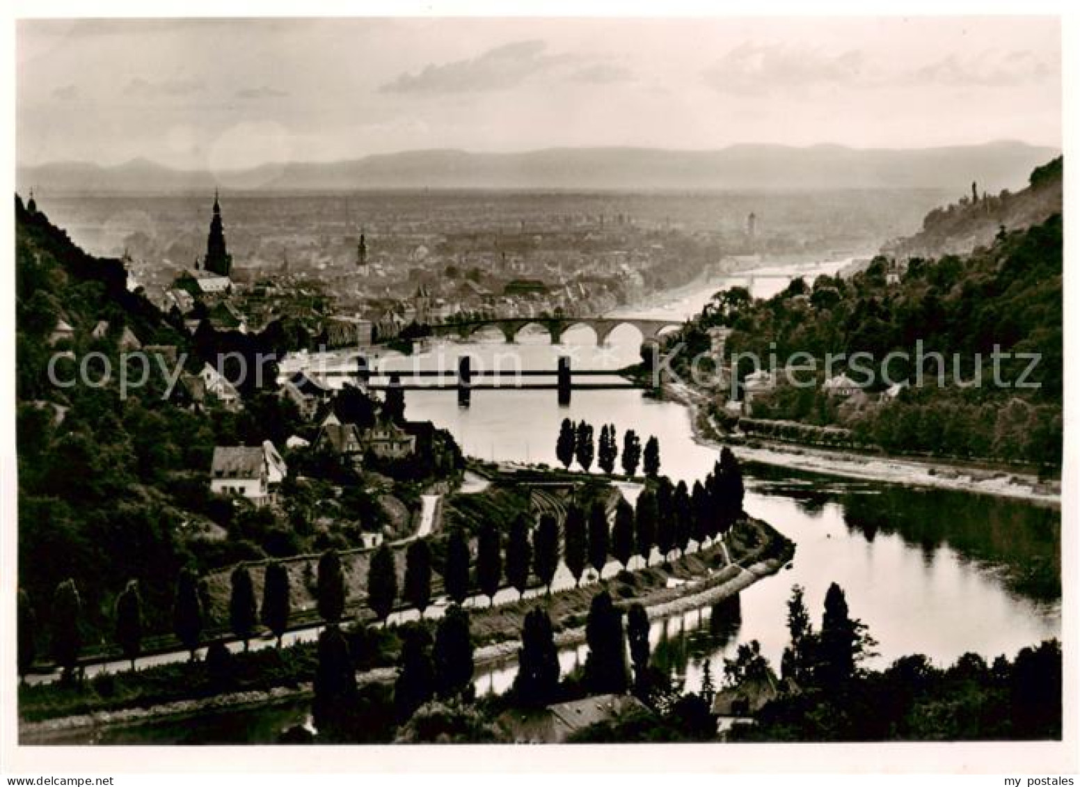 73788898 Heidelberg Neckar Stadtpanorama Blick Ueber Den Neckar Heidelberg Necka - Heidelberg