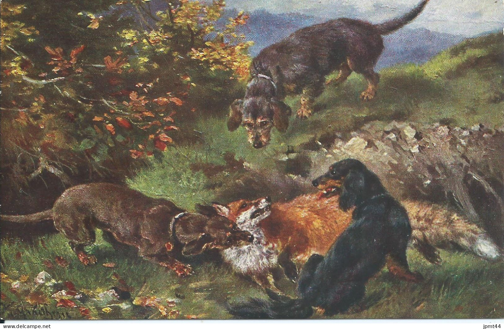 Chasse , Chiens, Renard. / Jâgd,hunde, Fuchs. (Illustrateur Muller J.) - Hunde