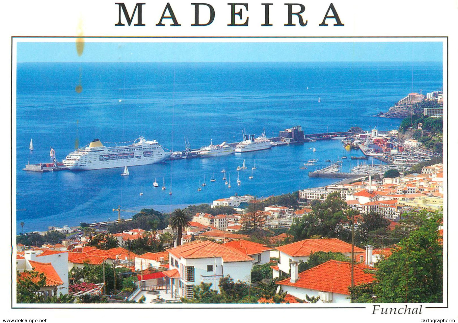 Navigation Sailing Vessels & Boats Themed Postcard Madeira Ocean Liner Harbour - Sailing Vessels