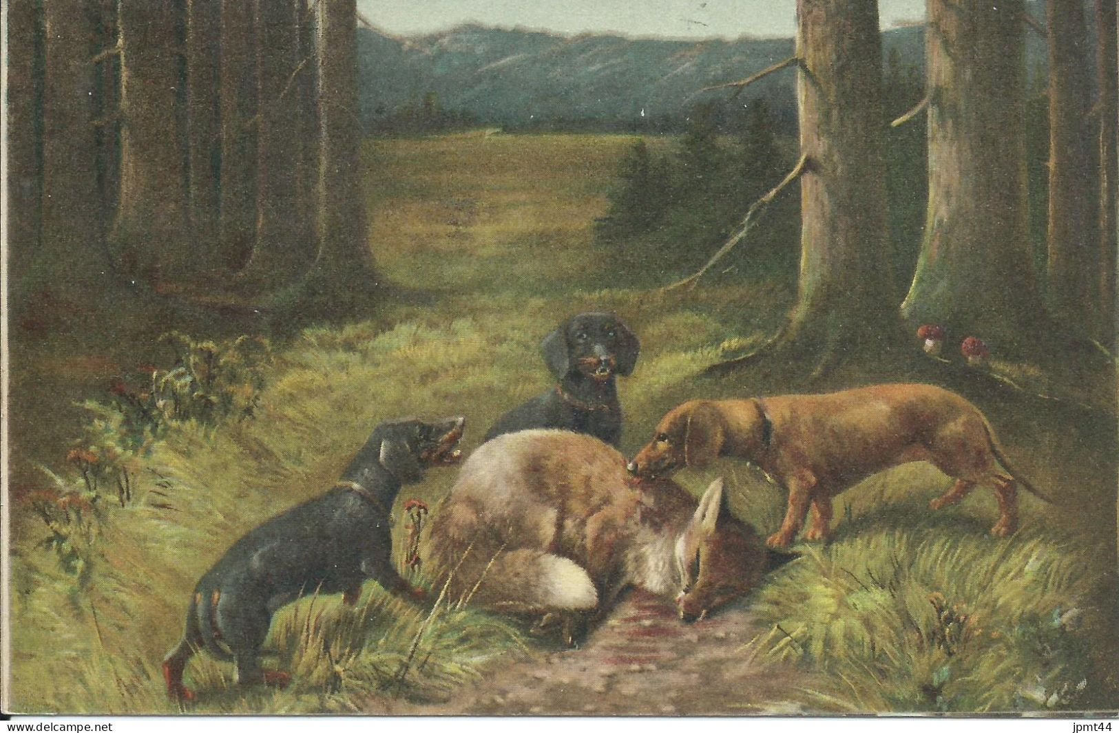 Chasse , Chiens, Renard. Forêt / Jâgd,hunde, Fuchs. (Illustrateur Muller J.) - Honden