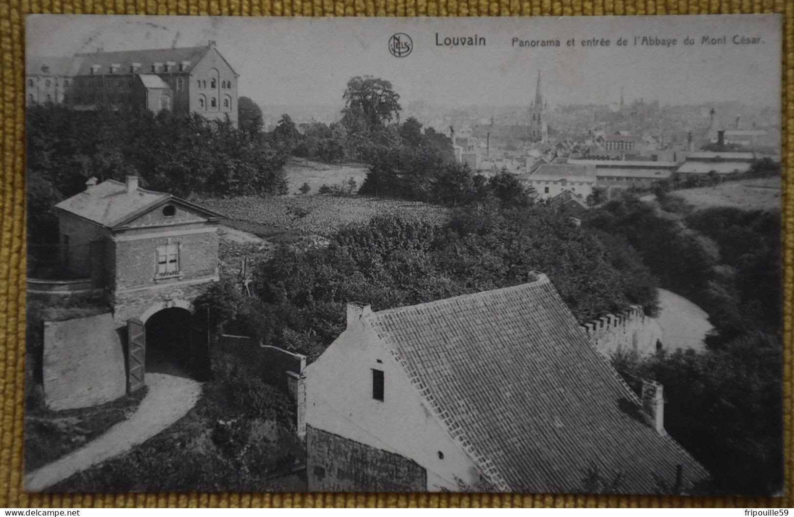 Louvain - Panorama Et Entrée De L'Abbaye Du Mont César - Nels - Série 36, N° 33 - - Leuven