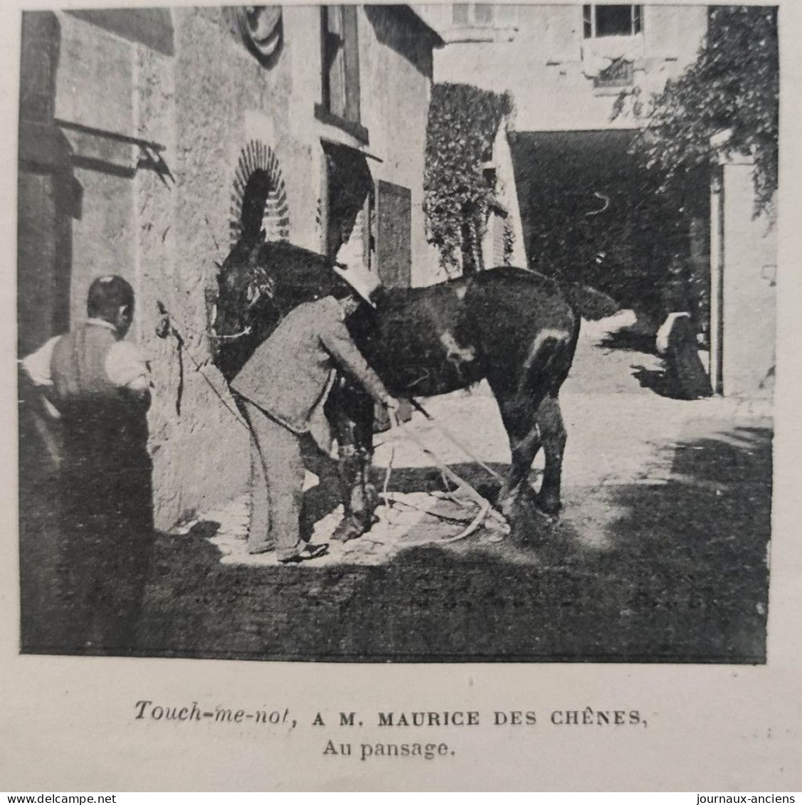 1899 AU CONCOURS HIPPIQUE DE PARIS - COMTE DE BÉTHUNE SULLY - VICOMTE LOUIS D'AVRINCOURT - LA VIE AU GRAND AIR - Magazines - Before 1900