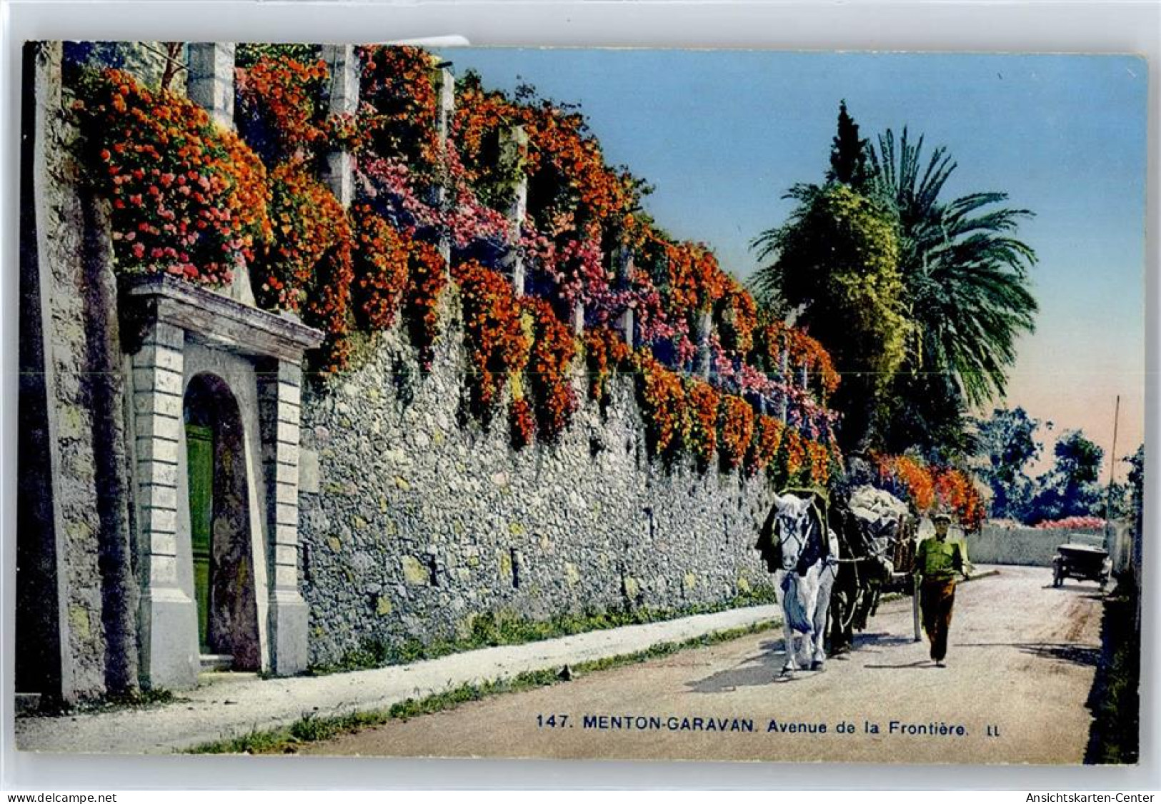 50955905 - Menton - Menton