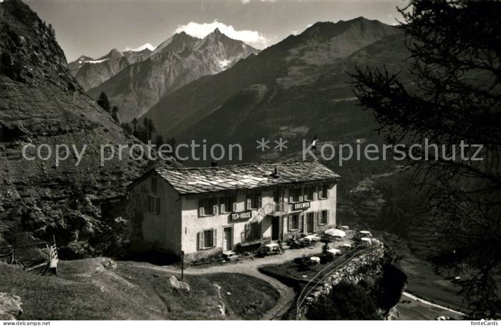 13086431 Zermatt VS Pension Restaurant Edelweiss Dom Taeschhorn  - Andere & Zonder Classificatie