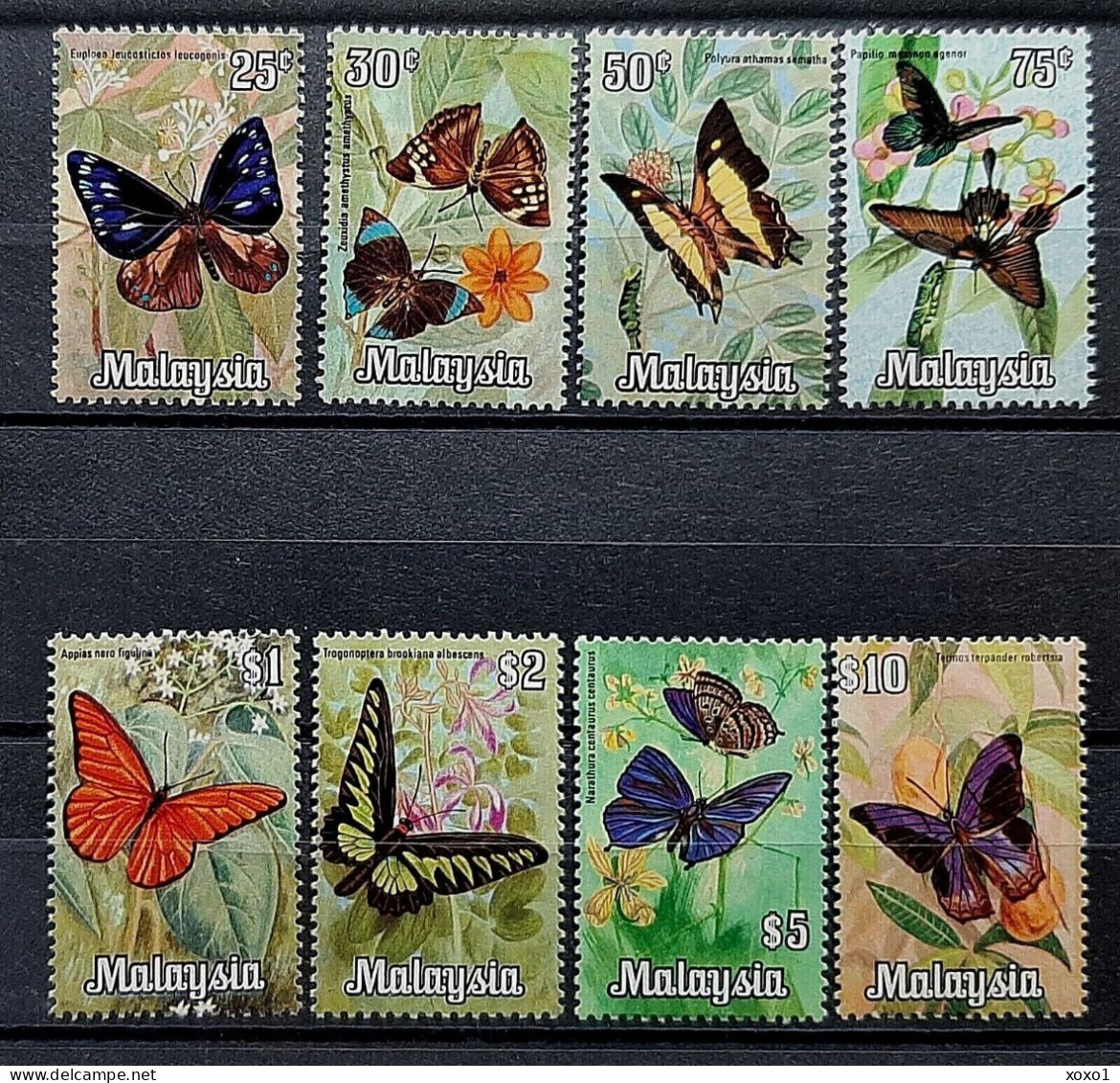 Malaysia 1970 MiNr. 63 - 70 Insects, Butterflies 8v   MNH** 50.00 € - Malaysia (1964-...)