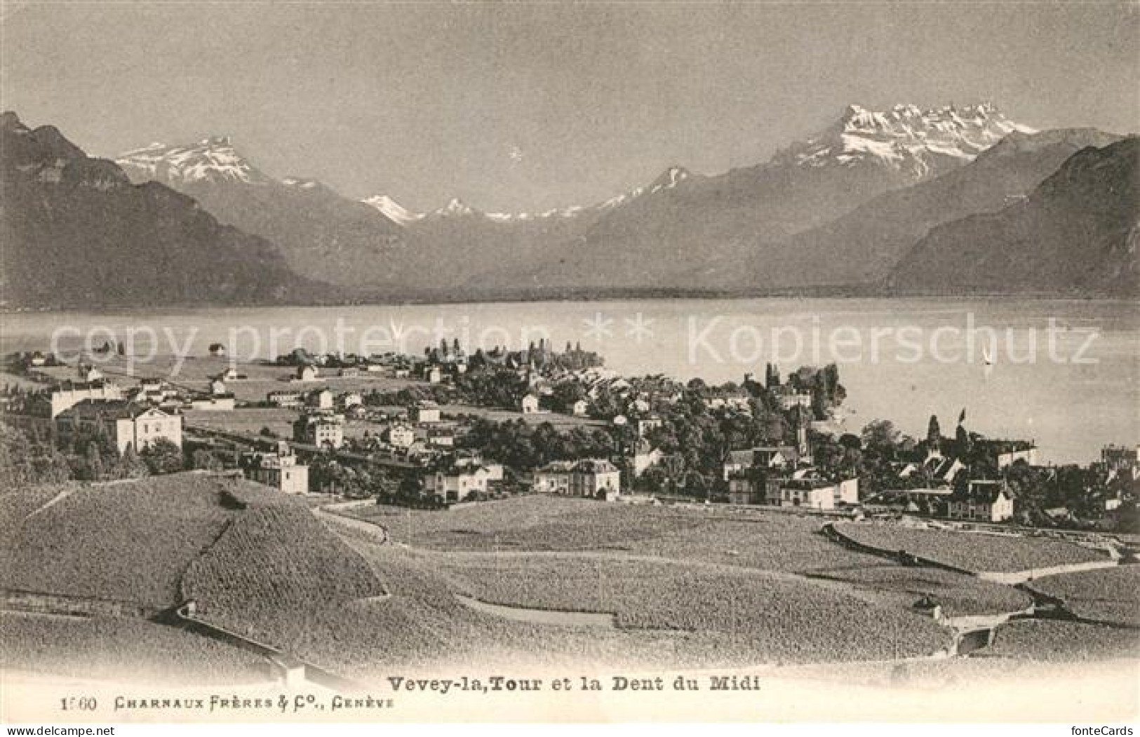 13078578 Vevey VD Panorama Lac Leman Et Dent Du Midi Alpes Vevey - Other & Unclassified