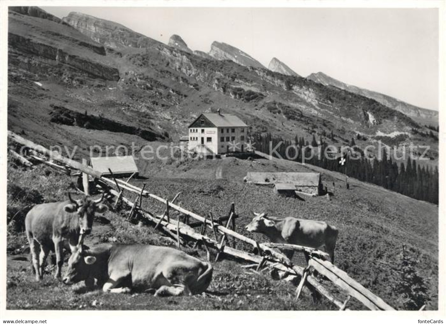 13078208 Unterwasser Toggenburg Berggasthaus Stoefeli Churfirsten Unterwasser - Sonstige & Ohne Zuordnung