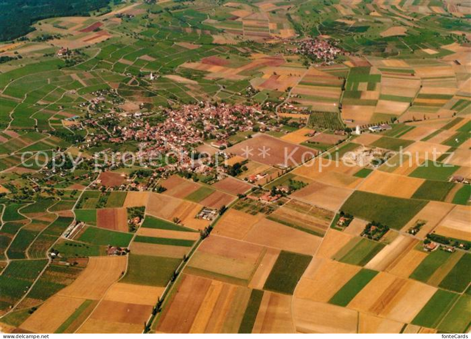 13077662 Hallau Fliegeraufnahme Hallau - Andere & Zonder Classificatie